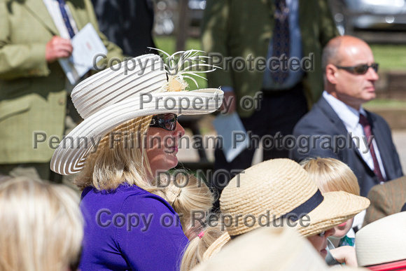 South_Notts_Puppy_Show_7th_June_2015_019