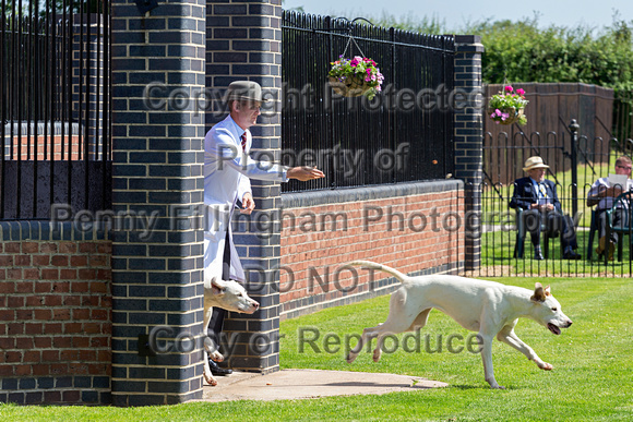 Quorn_Puppy_Show_28th_June_2019_017