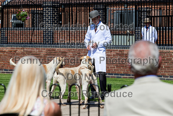 Quorn_Puppy_Show_28th_June_2019_010