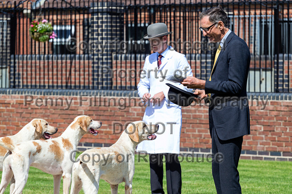 Quorn_Puppy_Show_28th_June_2019_009