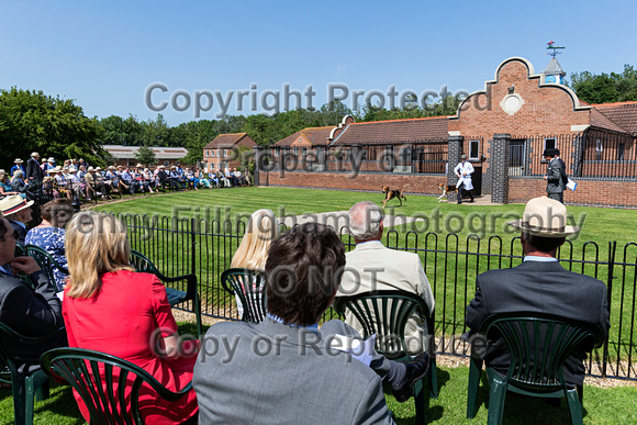 Quorn_Puppy_Show_28th_June_2019_019