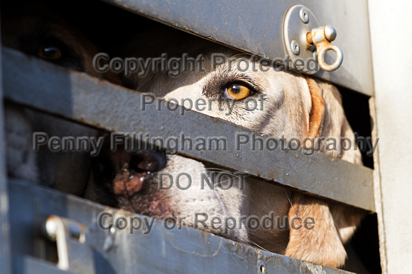 Grove_and_Rufford_Staythorpe_23rd_Jan_2016_006