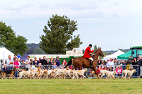 Southwell_Ploughing_Match_24th_Sept_2016_004