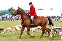 Southwell_Ploughing_Match_24th_Sept_2016_001