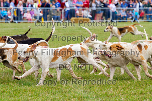 Southwell_Ploughing_Match_24th_Sept_2016_007