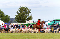 Southwell_Ploughing_Match_24th_Sept_2016_005