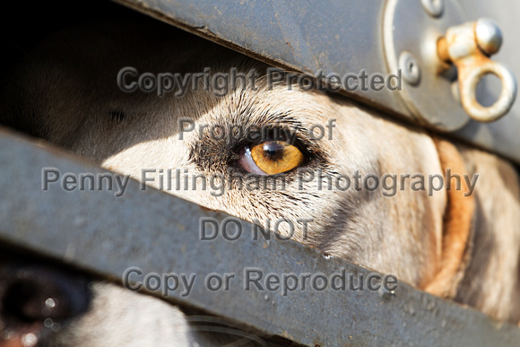 Grove_and_Rufford_Staythorpe_23rd_Jan_2016_007