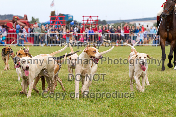 Southwell_Ploughing_Match_24th_Sept_2016_011