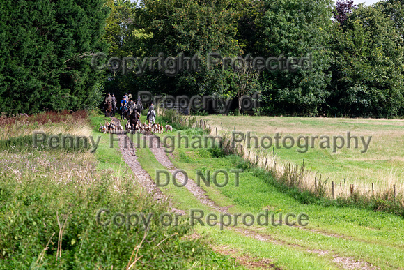 South_Notts_Hound_Exercise_Thurgarton_17th_Aug _2019_003