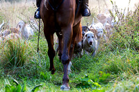 Quorn_Hickling_16th_Sept_2021_020