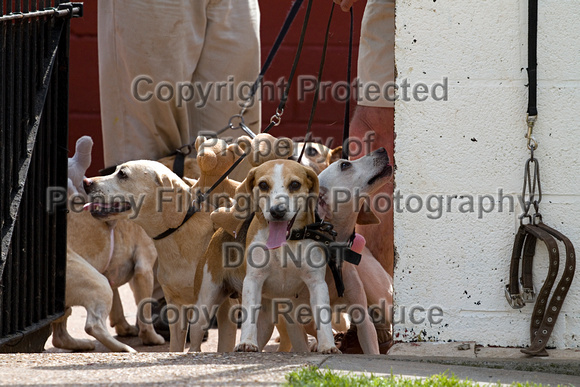 South_Notts_Hounds_14th_July_2013.088