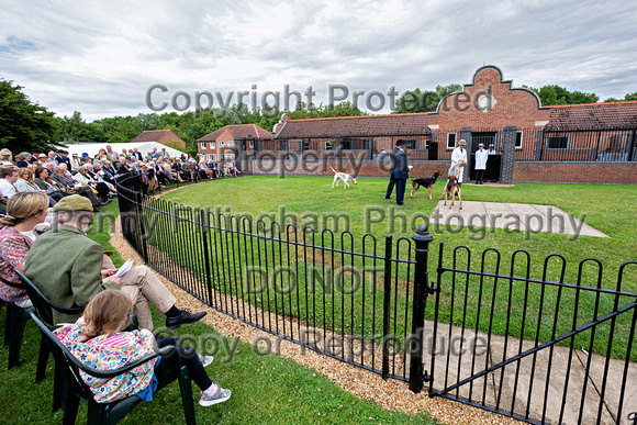Quorn_Puppy_Show_1st_July_2022_107
