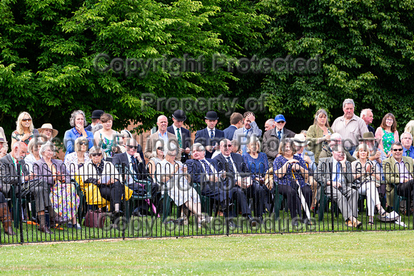 Quorn_Puppy_Show_1st_July_2022_163