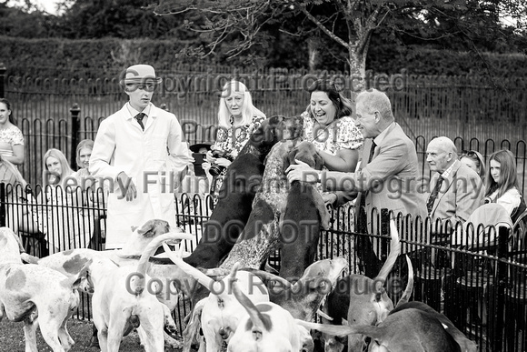 Quorn_Puppy_Show_1st_July_2022_228
