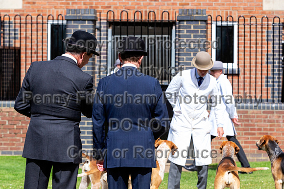 Quorn_Puppy_Show_1st_July_2022_125