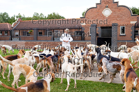 Quorn_Puppy_Show_1st_July_2022_237