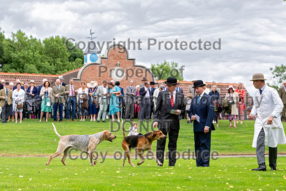 Quorn_Puppy_Show_1st_July_2022_090