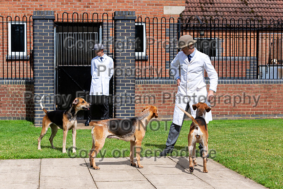 Quorn_Puppy_Show_1st_July_2022_113
