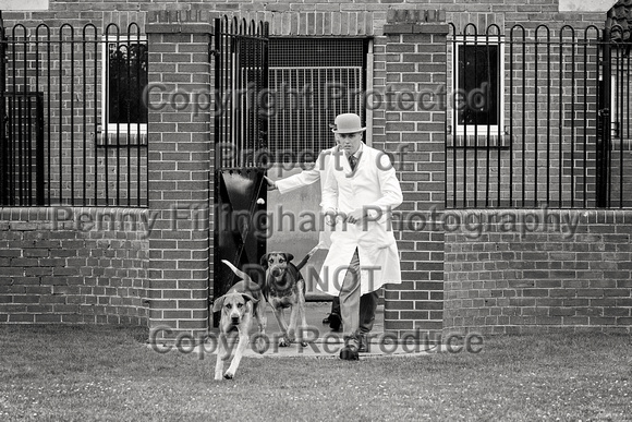 Quorn_Puppy_Show_1st_July_2022_033