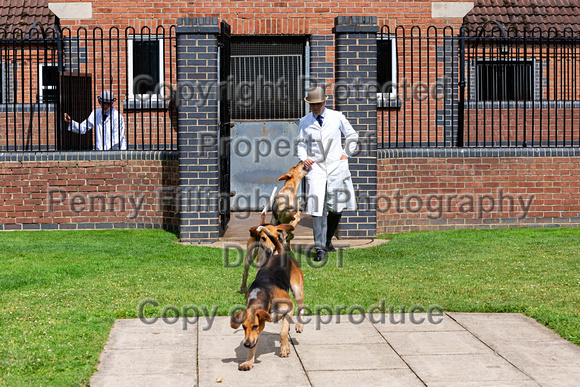 Quorn_Puppy_Show_1st_July_2022_108