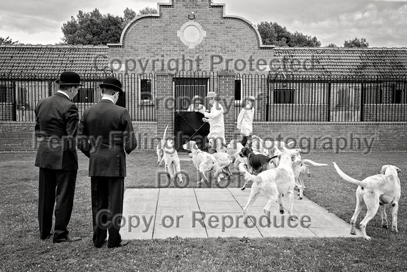 Quorn_Puppy_Show_1st_July_2022_063