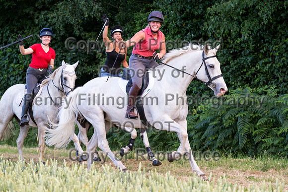 Grove_and_Rufford_Wellow_10th_July_2018_223