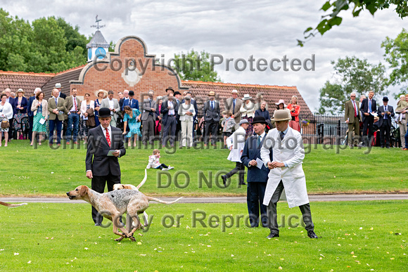 Quorn_Puppy_Show_1st_July_2022_089