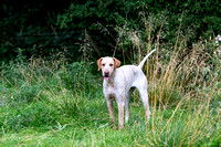 Quorn_Hickling_Pastures_31st_Aug_2021_004