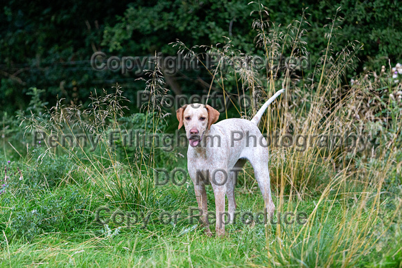 Quorn_Hickling_Pastures_31st_Aug_2021_004