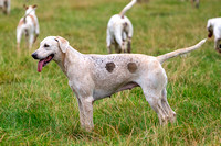 Quorn_Hickling_Pastures_31st_Aug_2021_018