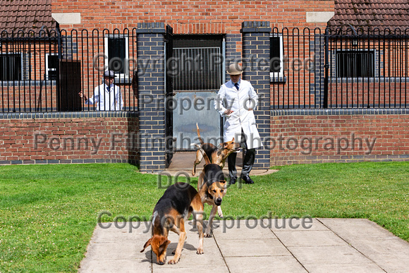 Quorn_Puppy_Show_1st_July_2022_110