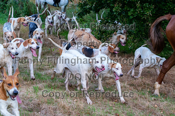 Quorn_Coleorton_3rd_Sep_2019_018
