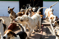 South_Notts_Kennels_6th_April_2016_015