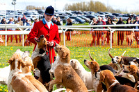 South Notts Point to Point, Hound Parade (18th April 2022)