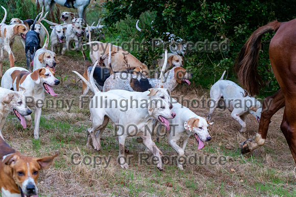 Quorn_Coleorton_3rd_Sep_2019_019