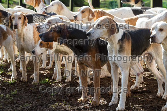 Quorn_Wartnaby_Castle_7th_March_2016_091