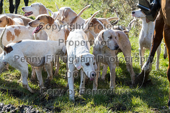 Quorn_Wartnaby_Castle_7th_March_2016_176