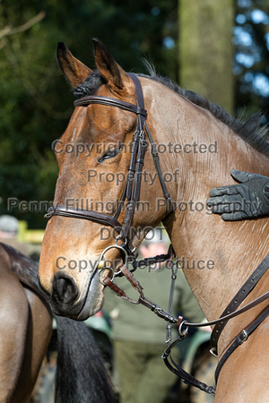 Quorn_Wartnaby_Castle_7th_March_2016_061