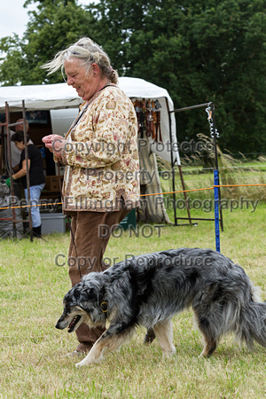 Grove_and_Rufford_Terrier_and_Lurcher_Show_16th_July_2016_210