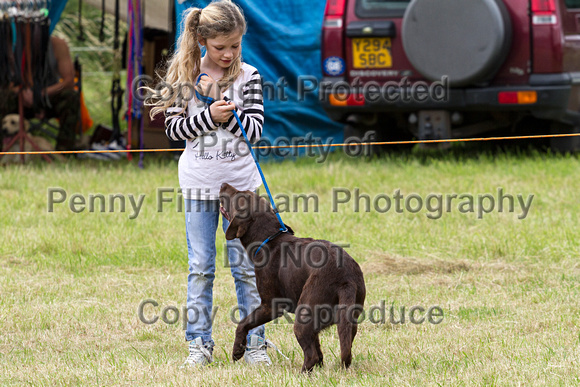 Grove_and_Rufford_Terrier_and_Lurcher_Show_16th_July_2016_091