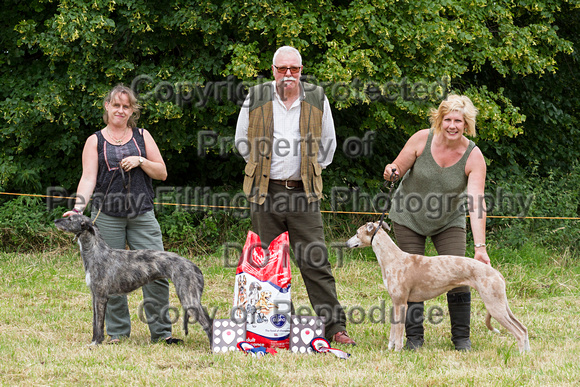 Grove_and_Rufford_Terrier_and_Lurcher_Show_16th_July_2016_172