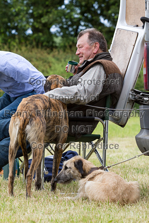 Grove_and_Rufford_Terrier_and_Lurcher_Show_16th_July_2016_030