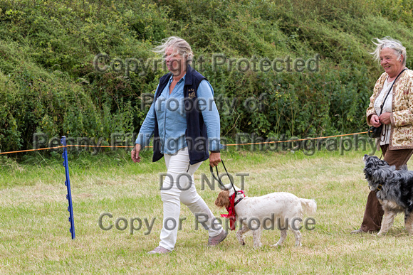 Grove_and_Rufford_Terrier_and_Lurcher_Show_16th_July_2016_215