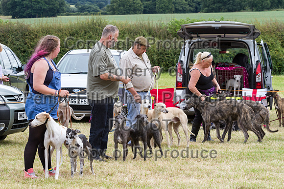 Grove_and_Rufford_Terrier_and_Lurcher_Show_16th_July_2016_111
