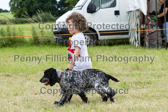 Grove_and_Rufford_Terrier_and_Lurcher_Show_16th_July_2016_208