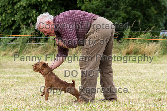 Grove_and_Rufford_Terrier_and_Lurcher_Show_16th_July_2016_068