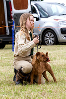 Grove_and_Rufford_Terrier_and_Lurcher_Show_16th_July_2016_001