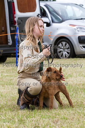 Grove_and_Rufford_Terrier_and_Lurcher_Show_16th_July_2016_001