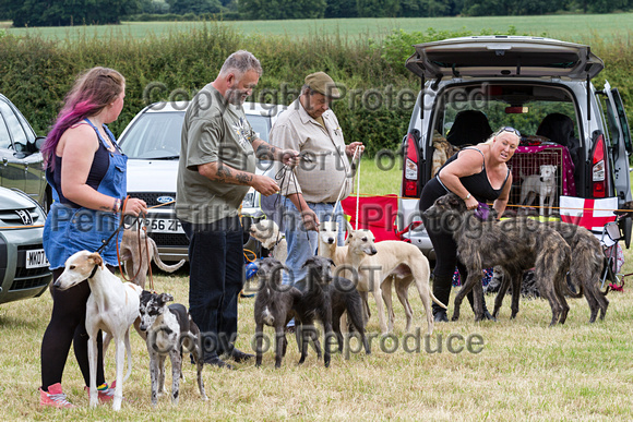 Grove_and_Rufford_Terrier_and_Lurcher_Show_16th_July_2016_112