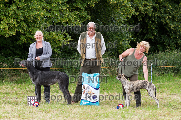 Grove_and_Rufford_Terrier_and_Lurcher_Show_16th_July_2016_140